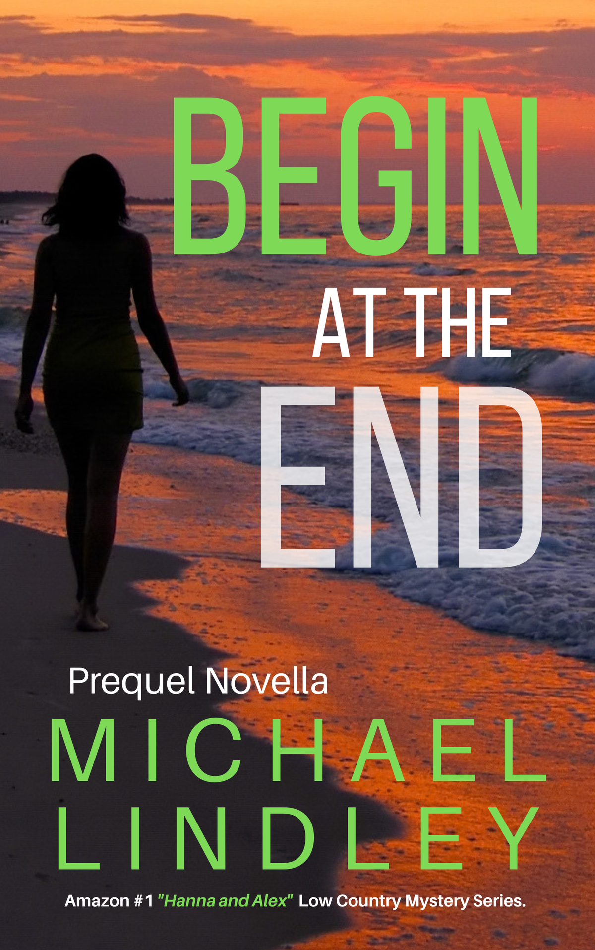 BEGIN AT THE END Prequel Novella - eBook Free "Hanna and Alex" Low Country Mystery Series⭐⭐⭐⭐⭐ (101)